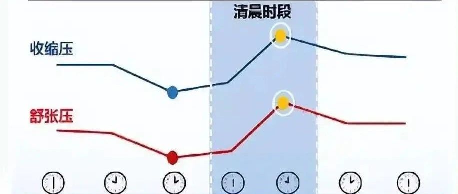 高血壓的波動規(guī)律